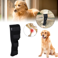 Knee Brace for Safe and Comfortable Movement