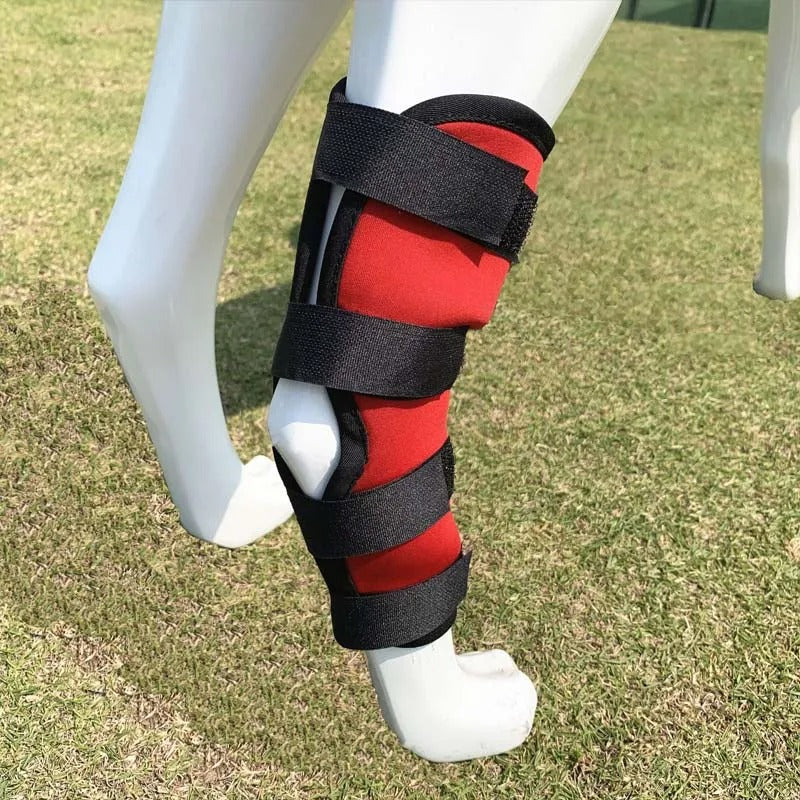 Knee Brace for Safe and Comfortable Movement