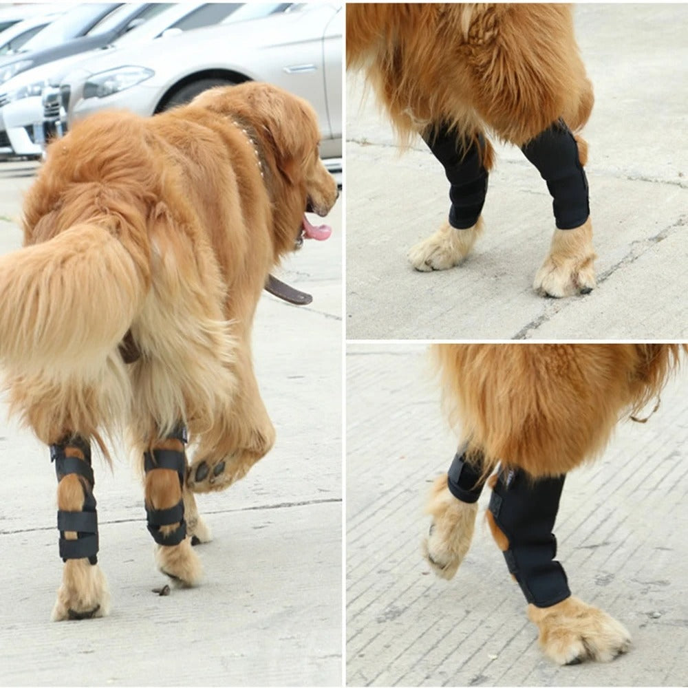 Knee Brace for Safe and Comfortable Movement