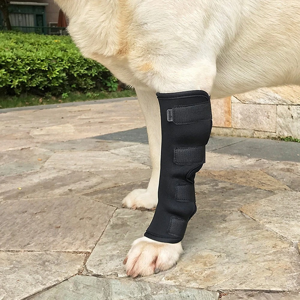 Knee Brace for Safe and Comfortable Movement
