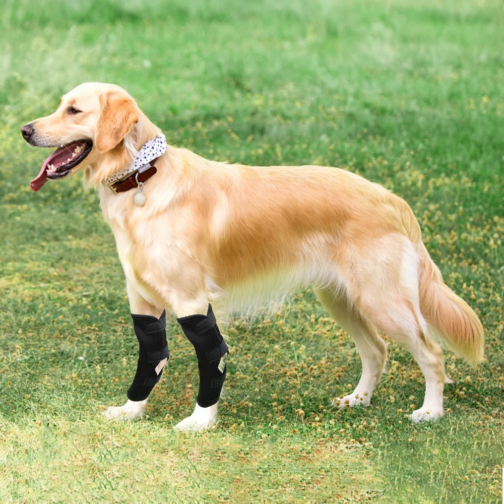 Knee Brace for Safe and Comfortable Movement