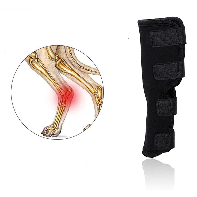 Knee Brace for Safe and Comfortable Movement