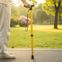 Lightweight Aluminium Walking Cane for Seniors