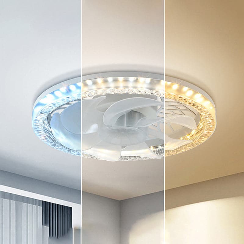 Luxury Ceiling Fan with Light
