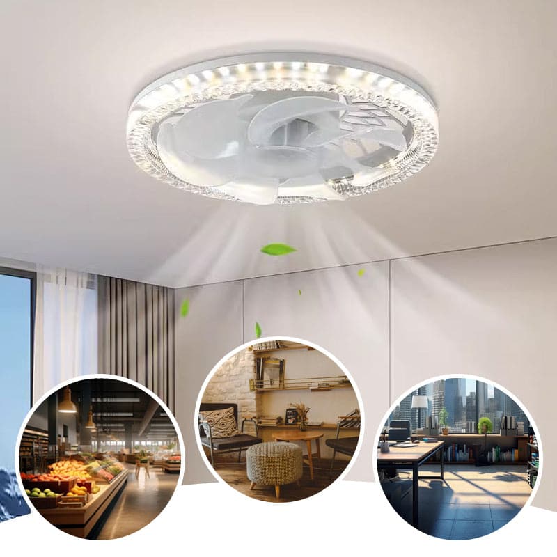 Luxury Ceiling Fan with Light