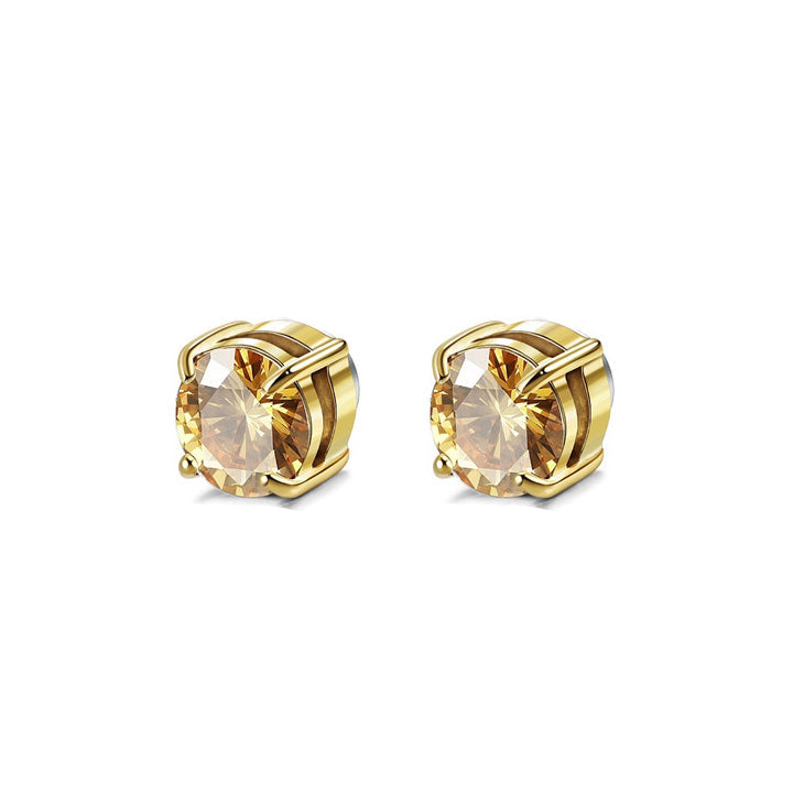 Magnetic Earrings