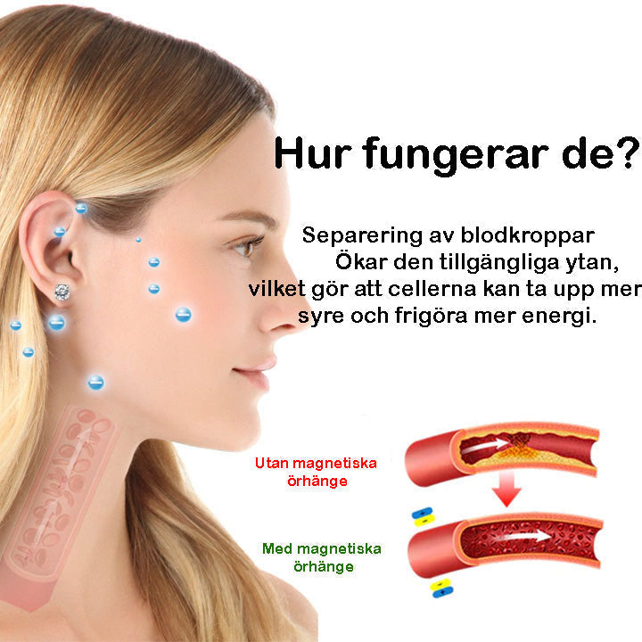 Magnetic Earrings