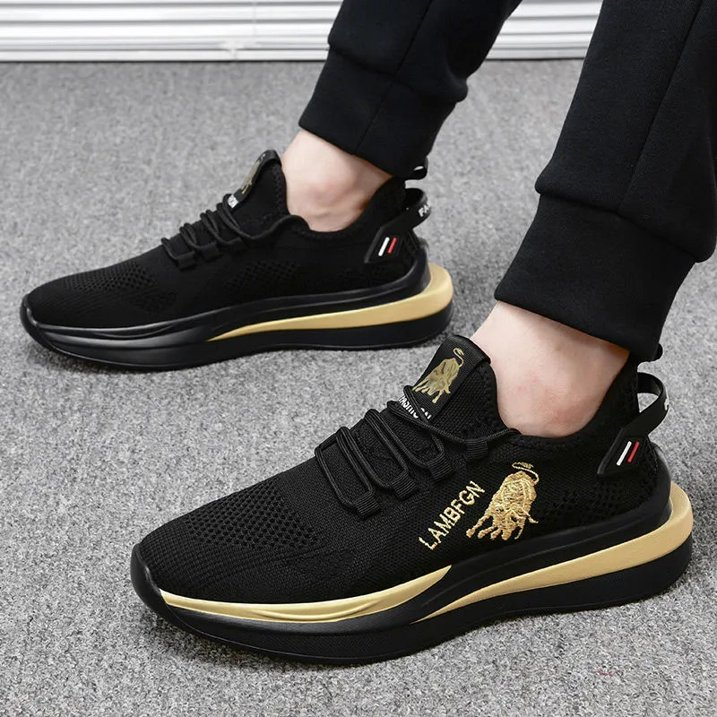 Men's Modern Lightweight Breathable Comfortable Shoes