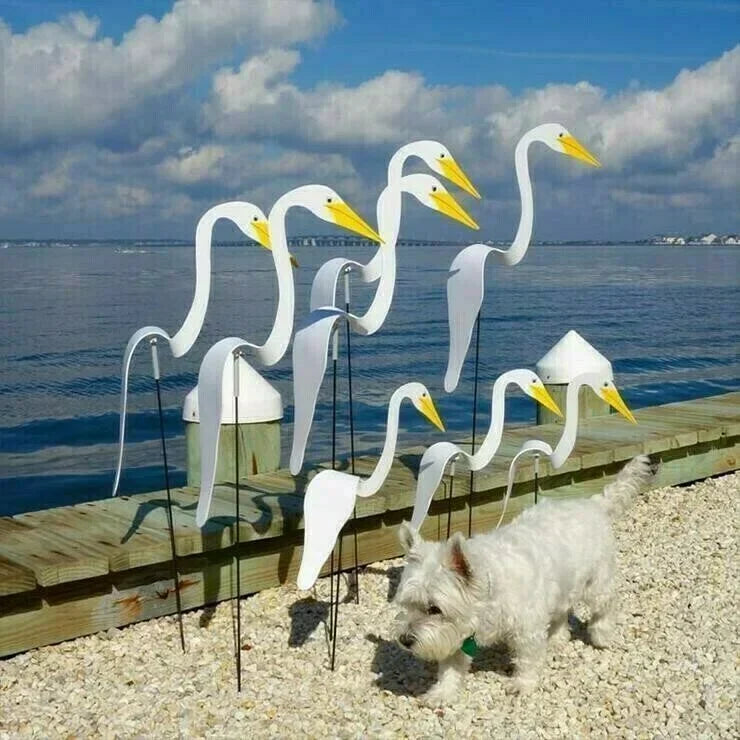 Metal Garden Decoration - Dancing Birds