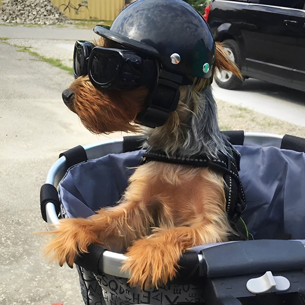 Motorcycle Helmet and Goggles for Dogs
