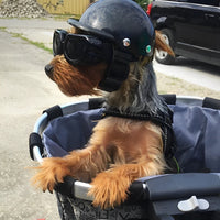 Motorcycle Helmet and Goggles for Dogs