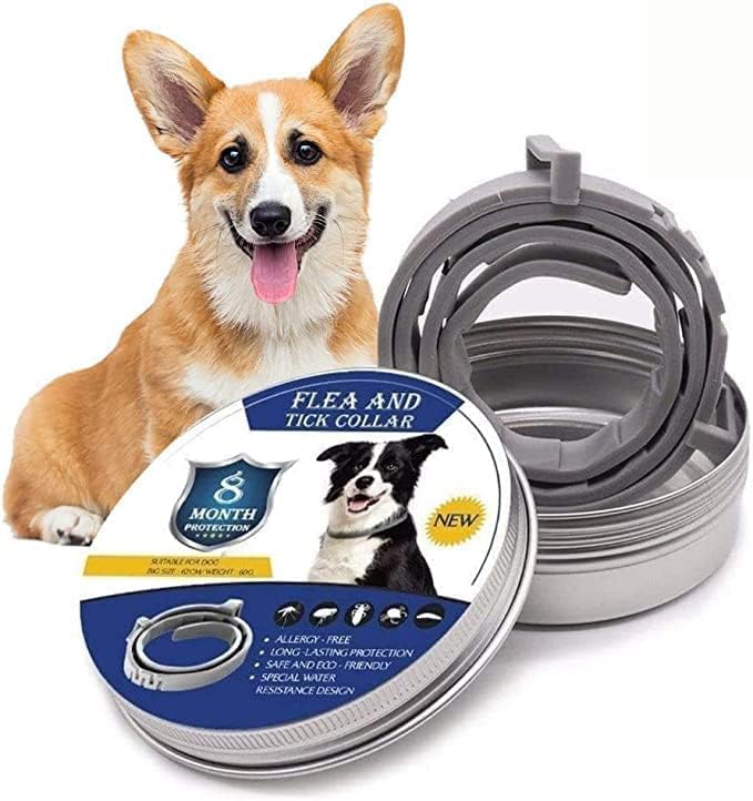Natural Flea and Tick Protection for Dogs