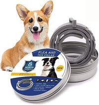 Natural Flea and Tick Protection for Dogs