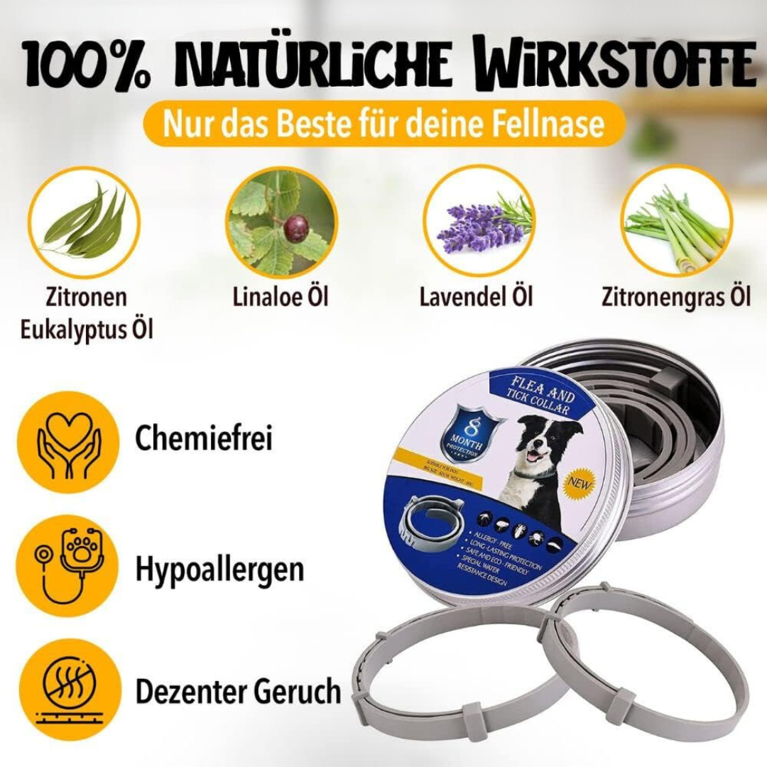 Natural Flea and Tick Protection for Dogs