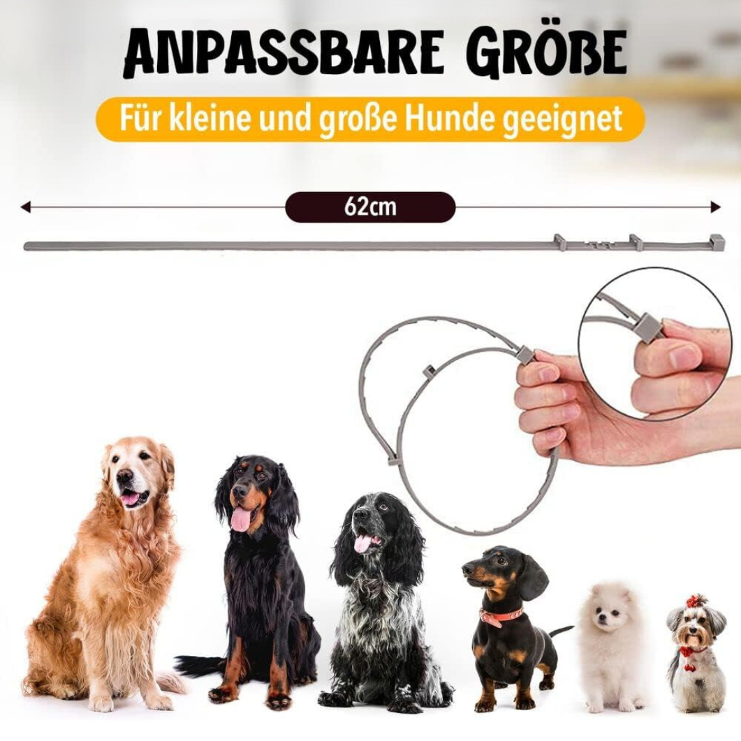 Natural Flea and Tick Protection for Dogs