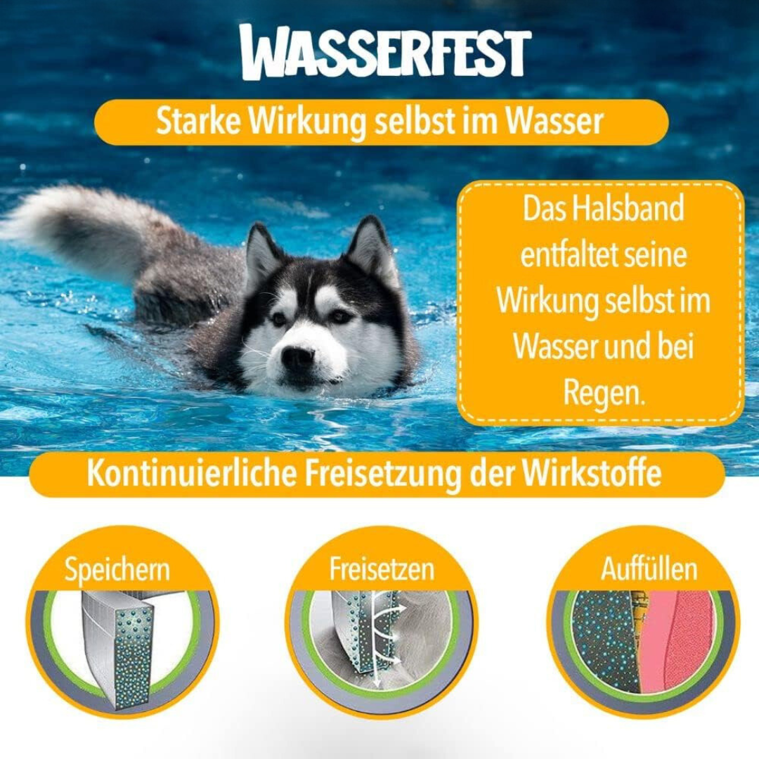 Natural Flea and Tick Protection for Dogs
