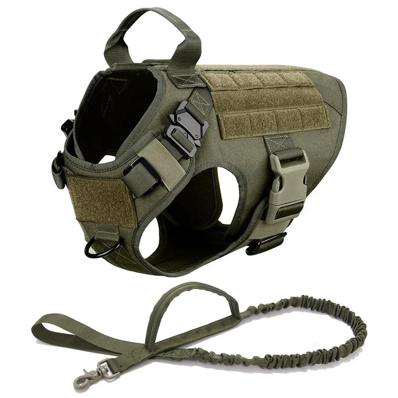 No-Pull Tactical Dog Harness for Training and Outdoor Adventures