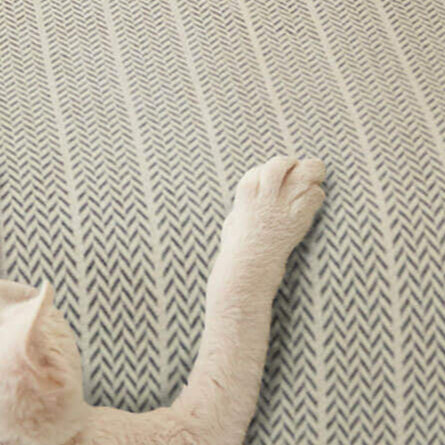Non-Slip Textured Chenille Sofa Cover – Machine-Washable, Easy-to-Clean & Pet-Hair Resistant for Dogs