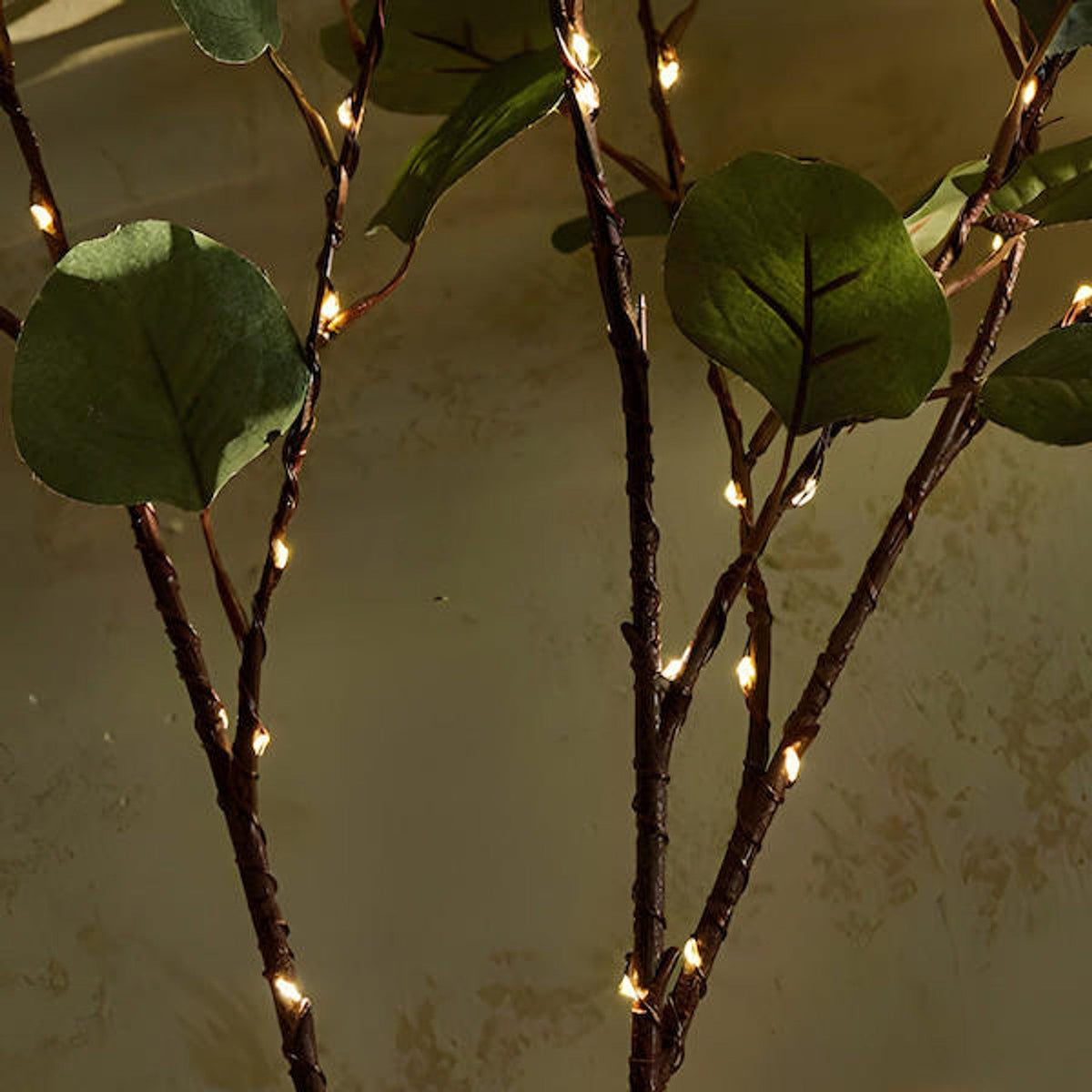Olive Branch with Fairy Lights Glowing