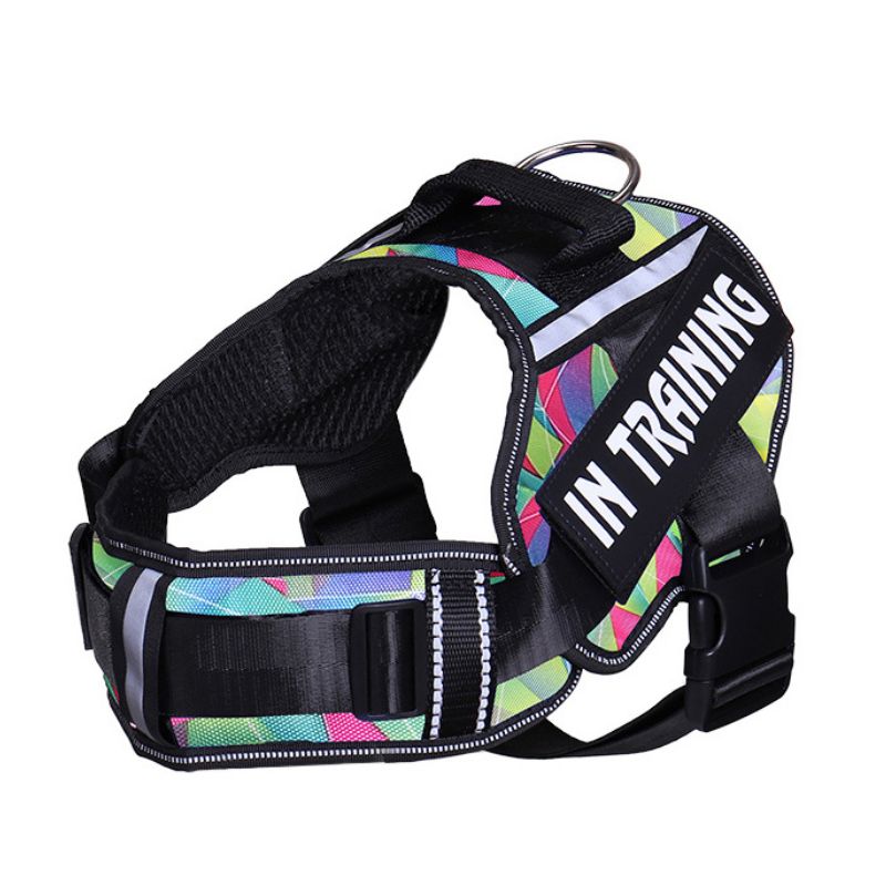 Personalized Velcro Dog Harness