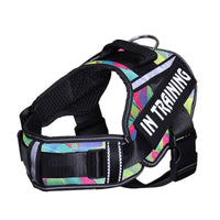Personalized Velcro Dog Harness