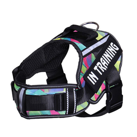 Personalized Velcro Dog Harness