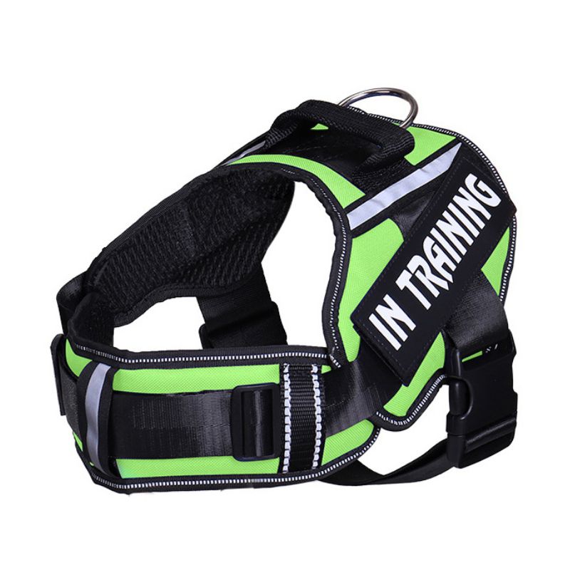 Personalized Velcro Dog Harness