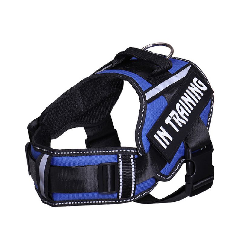 Personalized Velcro Dog Harness