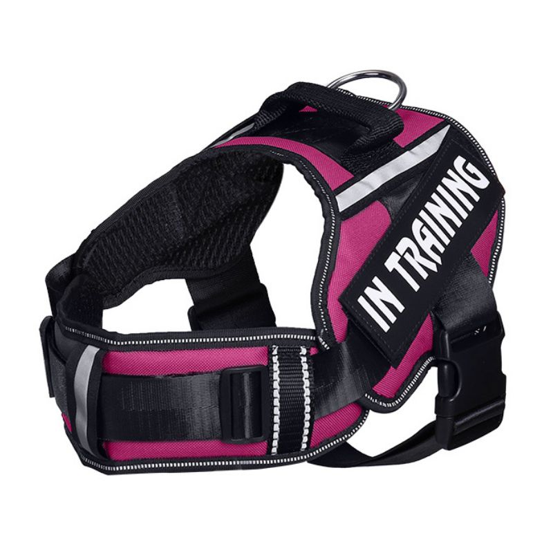Personalized Velcro Dog Harness