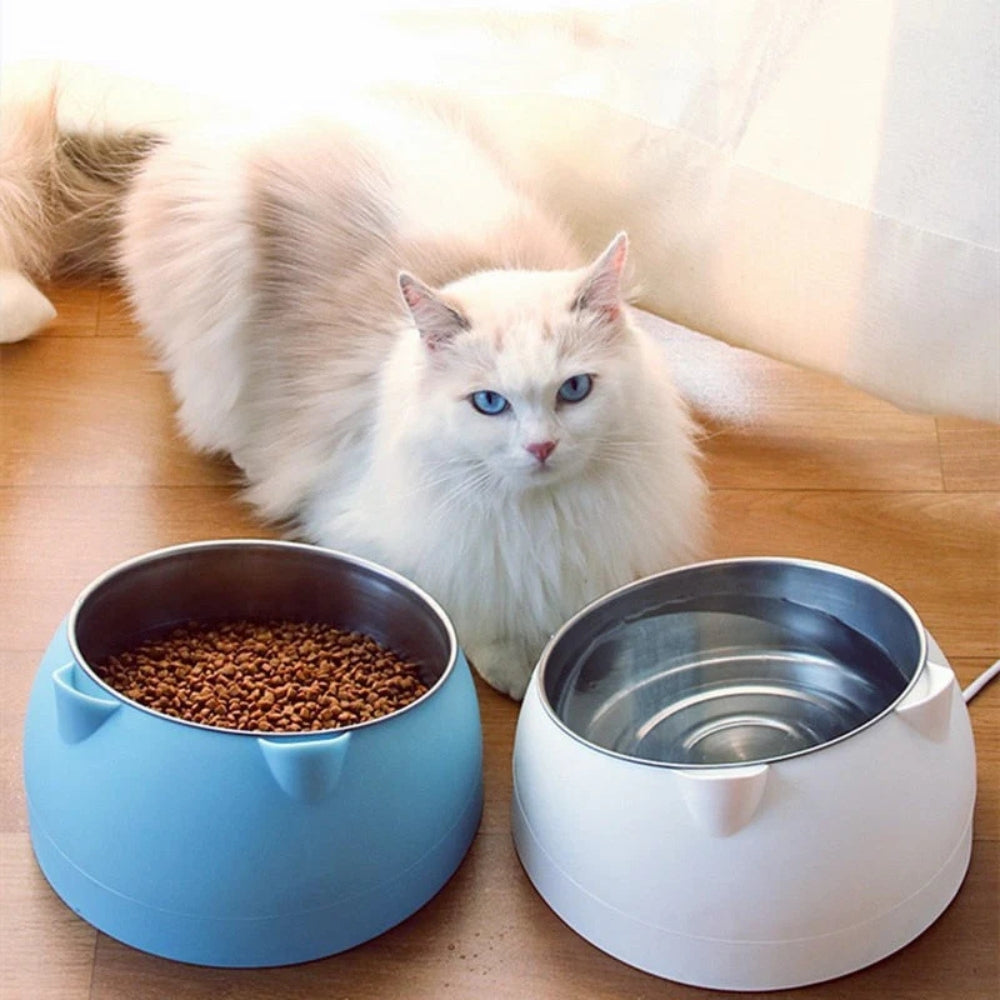 Pet Bowl
