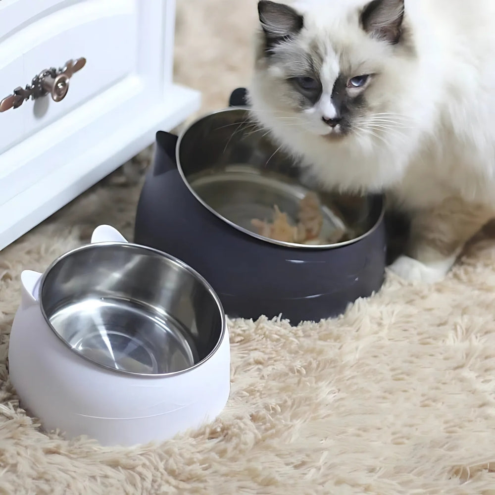 Pet Bowl
