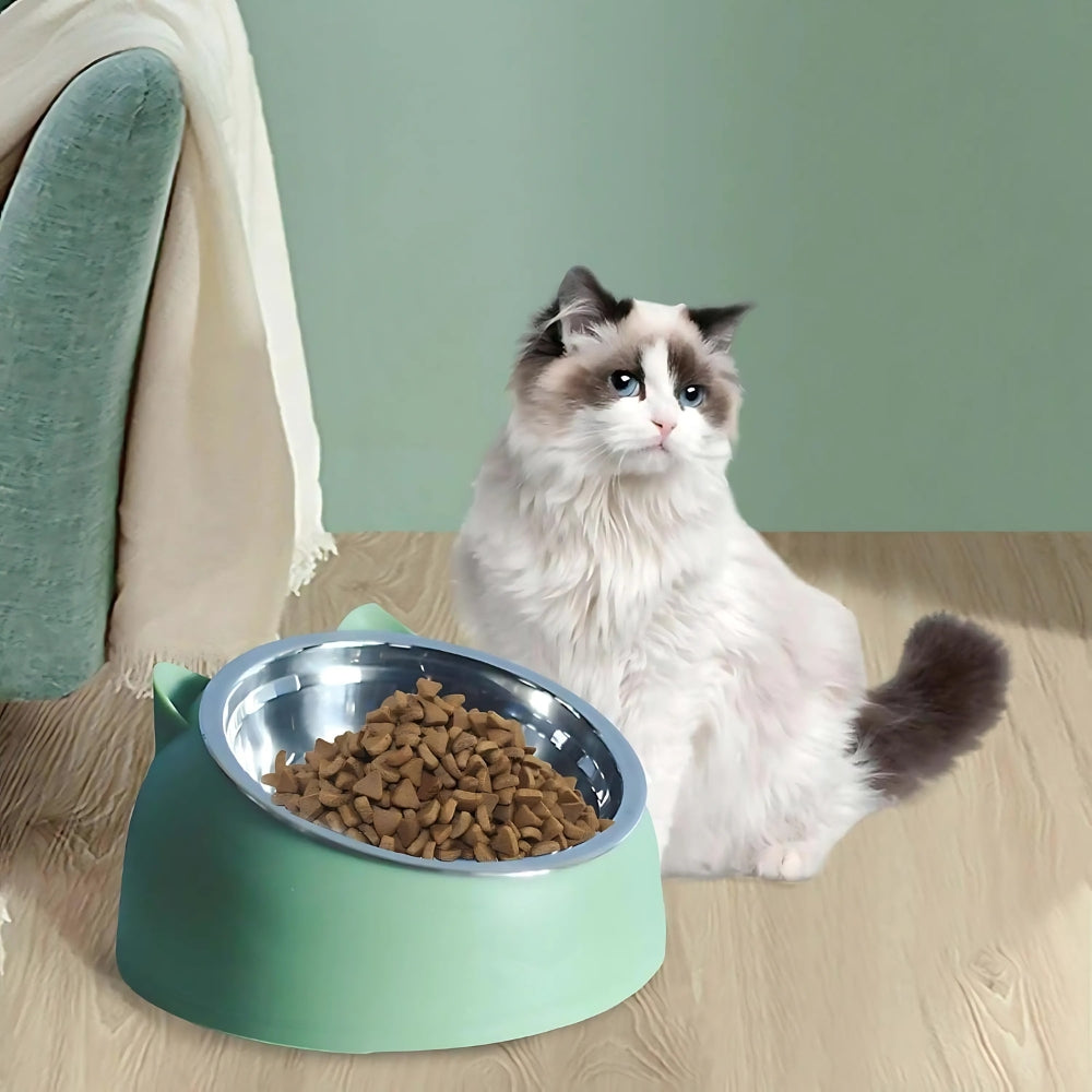 Pet Bowl