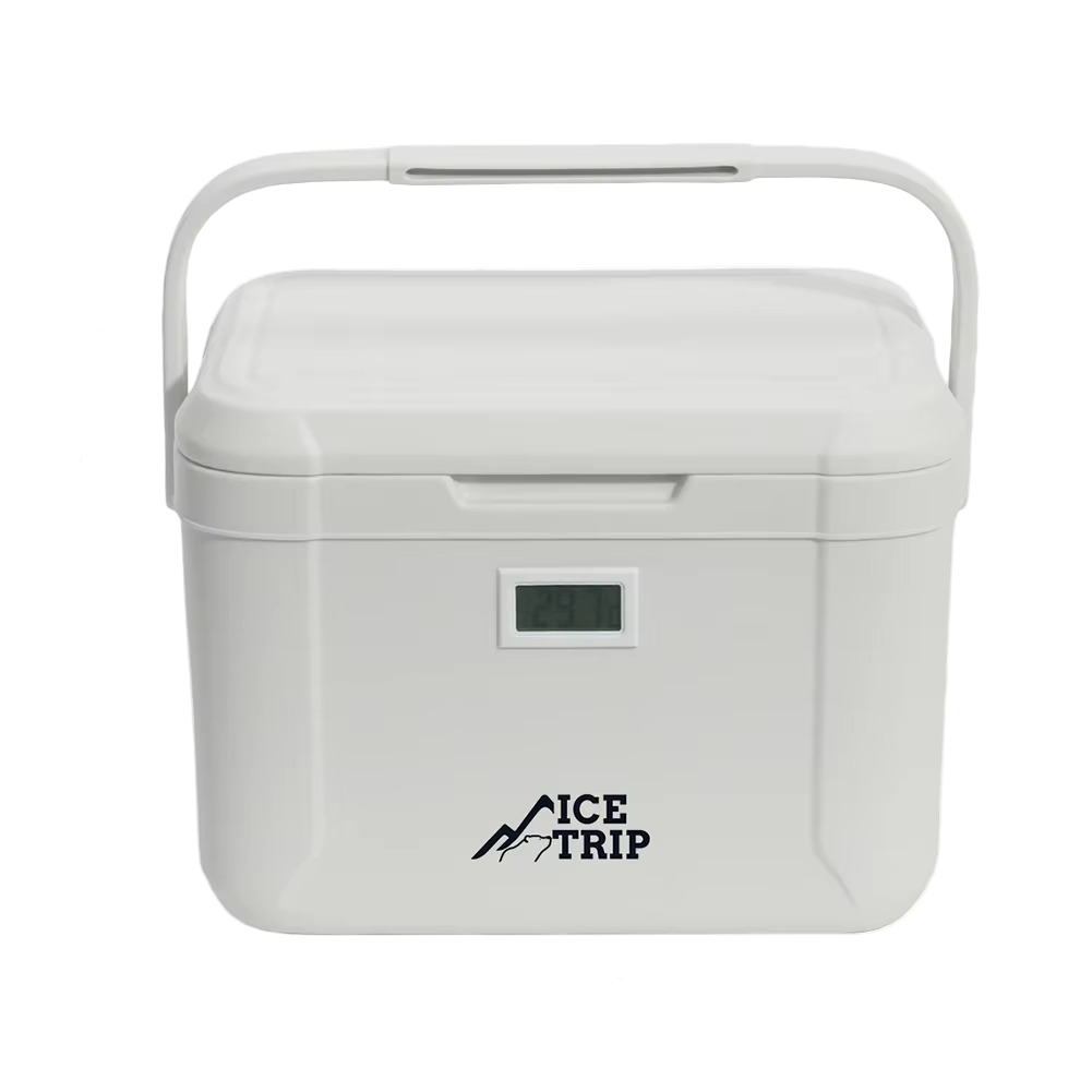 Portable Mini Cooler for Car and Camping – Compact Design