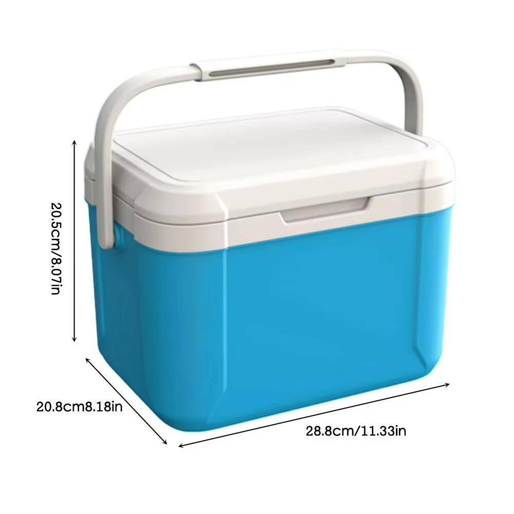 Portable Mini Cooler for Car and Camping – Compact Design