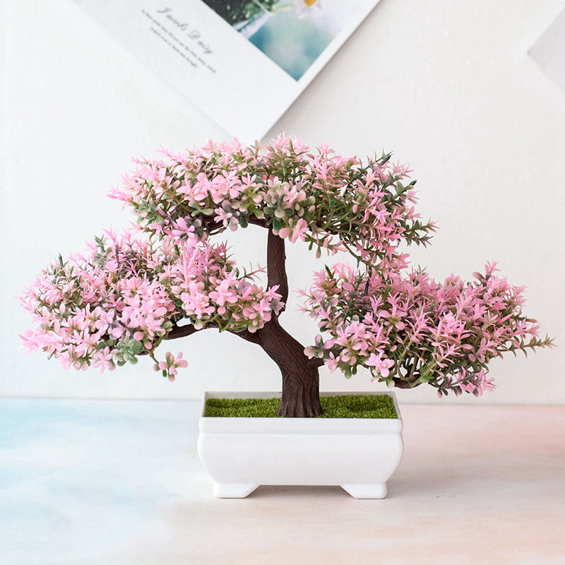 Potted Bonsai Plant