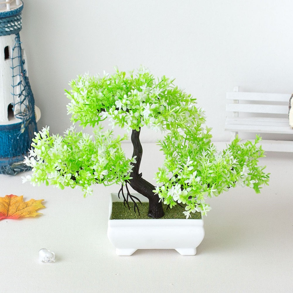 Potted Bonsai Plant
