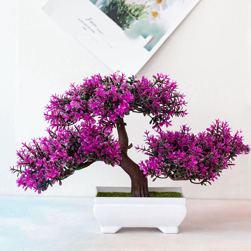 Potted Bonsai Plant