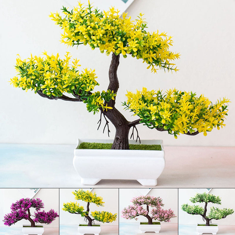 Potted Bonsai Plant