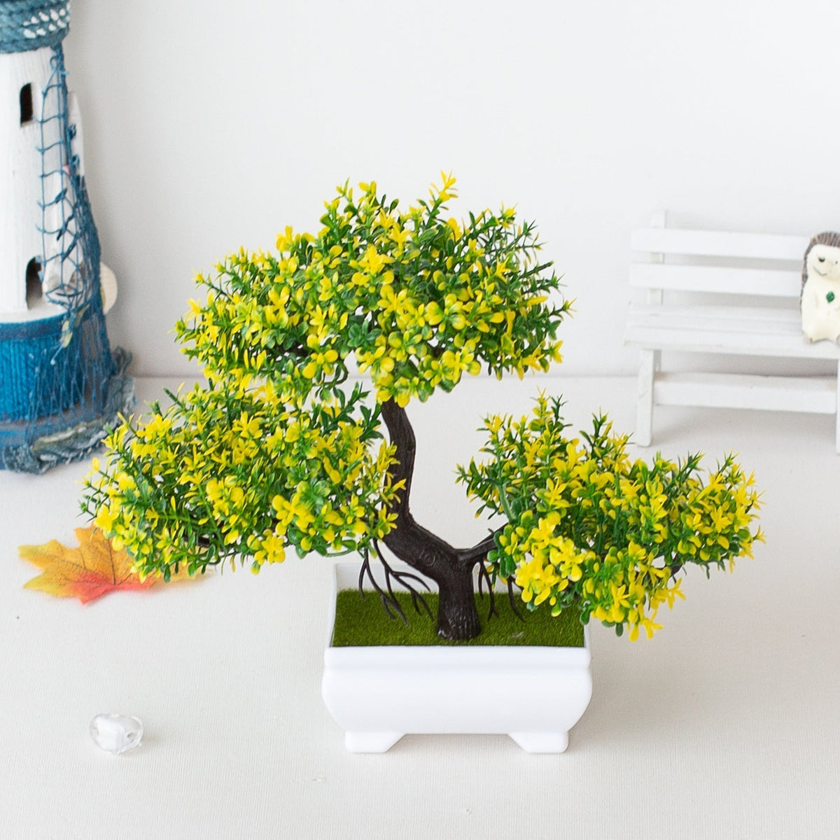 Potted Bonsai Plant