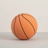 Professional Silent Basketball with Noiseless Foam Technology - High-Density Indoor Training Ball with Optimal Bounce, Safe & Neighbor-Friendly