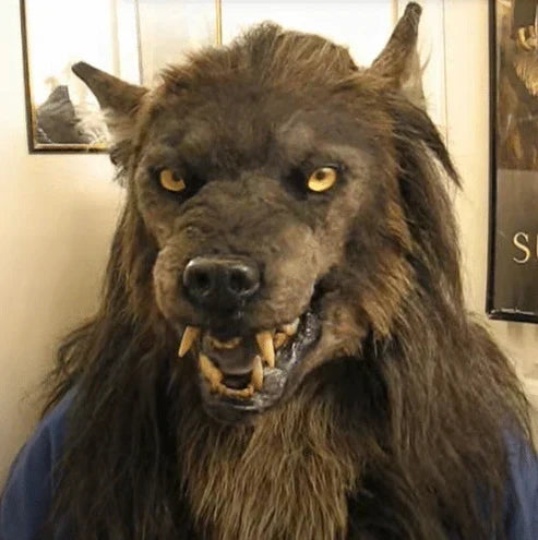 Realistic Werewolf Mask for Adults - Halloween & Cosplay