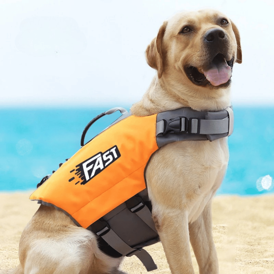Reflective & Adjustable Dog Life Jacket for Swimming