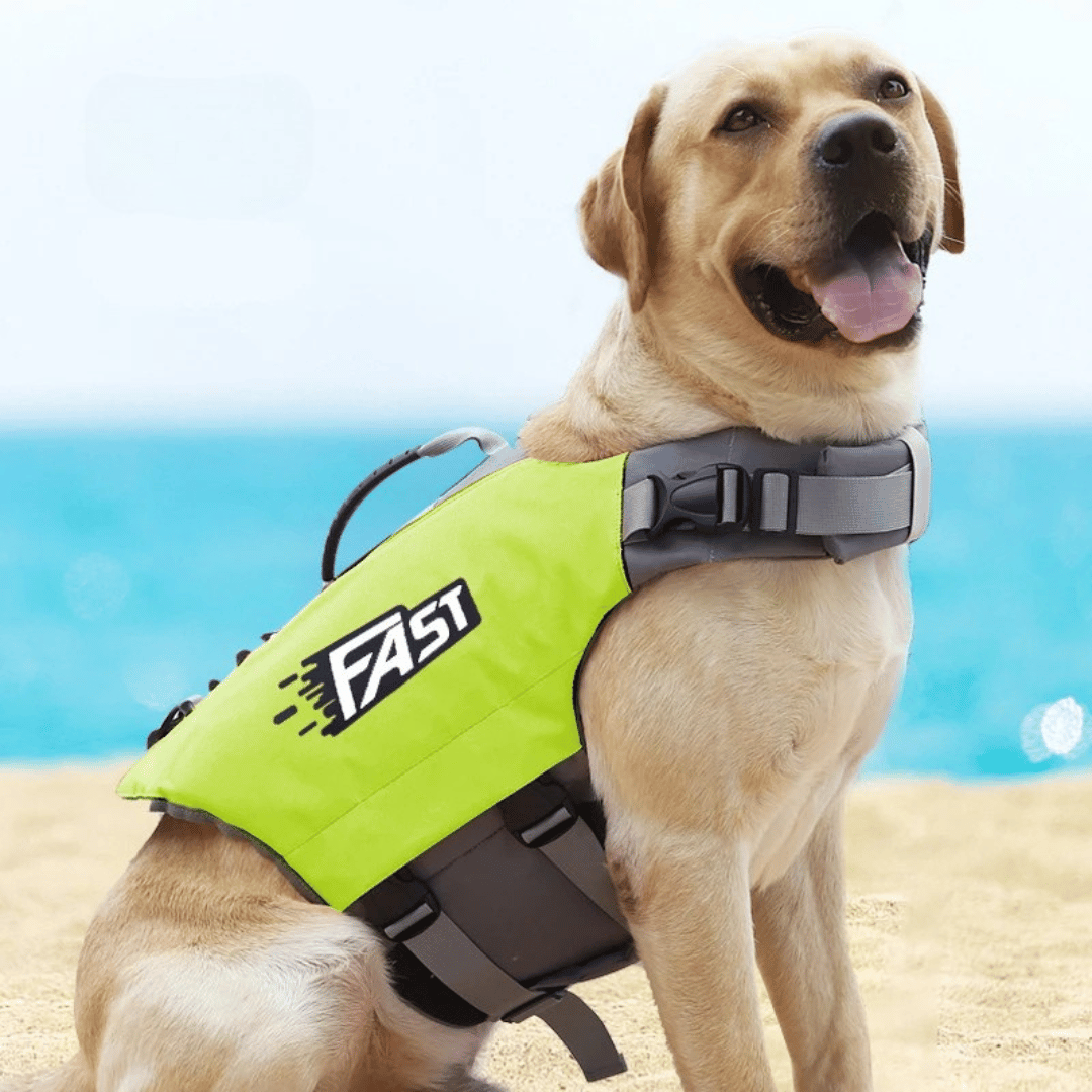 Reflective & Adjustable Dog Life Jacket for Swimming