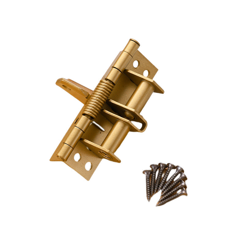 Self-Closing Stainless Steel Door Hinge