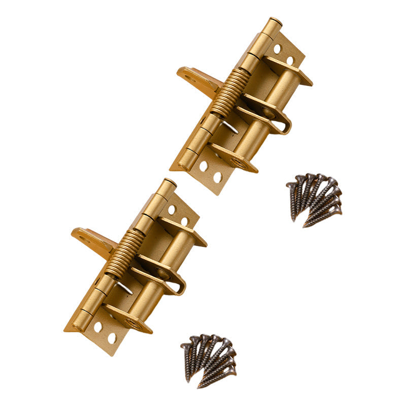 Self-Closing Stainless Steel Door Hinge