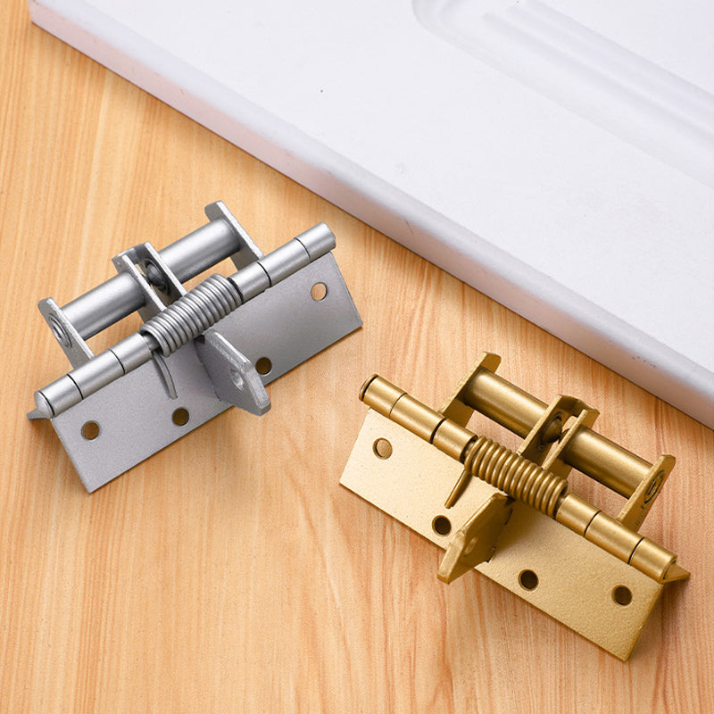 Self-Closing Stainless Steel Door Hinge