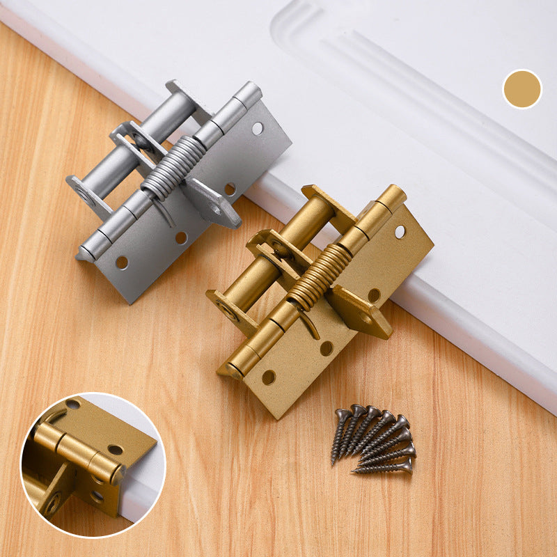 Self-Closing Stainless Steel Door Hinge