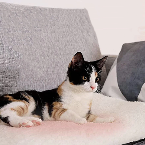 Self-Warming Cat Blanket - Luxury, Washable, No Electricity Needed