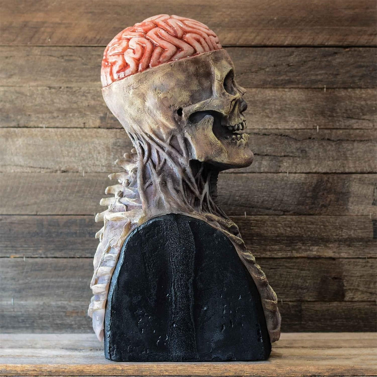 Skeleton Mask: Realistic and Terrifying Skeleton Mask for Halloween Costume
