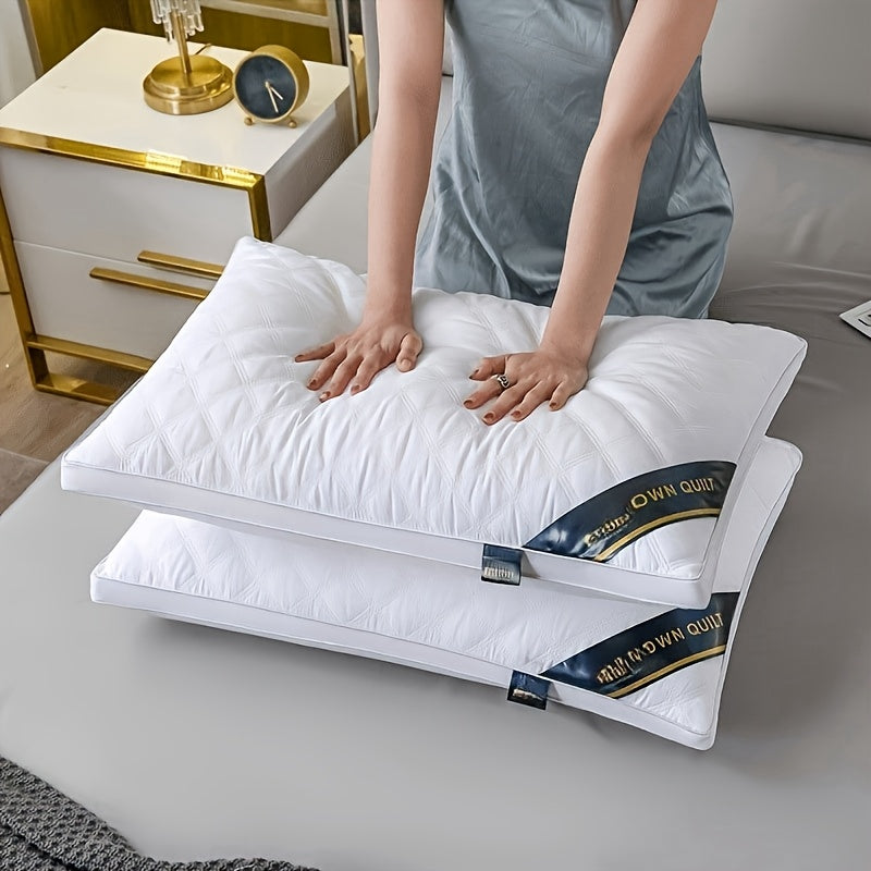 Sleep Comfort Set – 2 Hypoallergenic 3D Pillows for Hotel-Quality Sleep